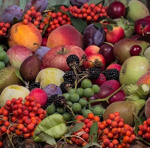 Fruta