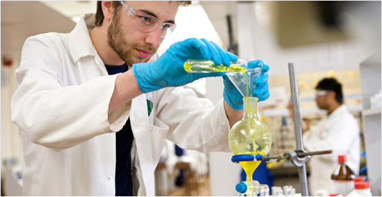 Química para Fertilizantes y Plaguicidas
